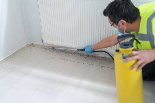 Best Emergency Pest Control  in Big Spring, TX